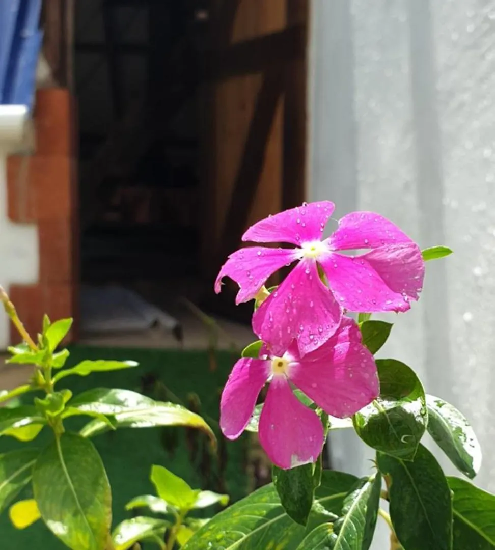 Canada House Queen Bed In 2Nd Floor Dbl Sofa Bed In 1St Floor Bbq Private Pool, River Jarabacoa Dominican Republic