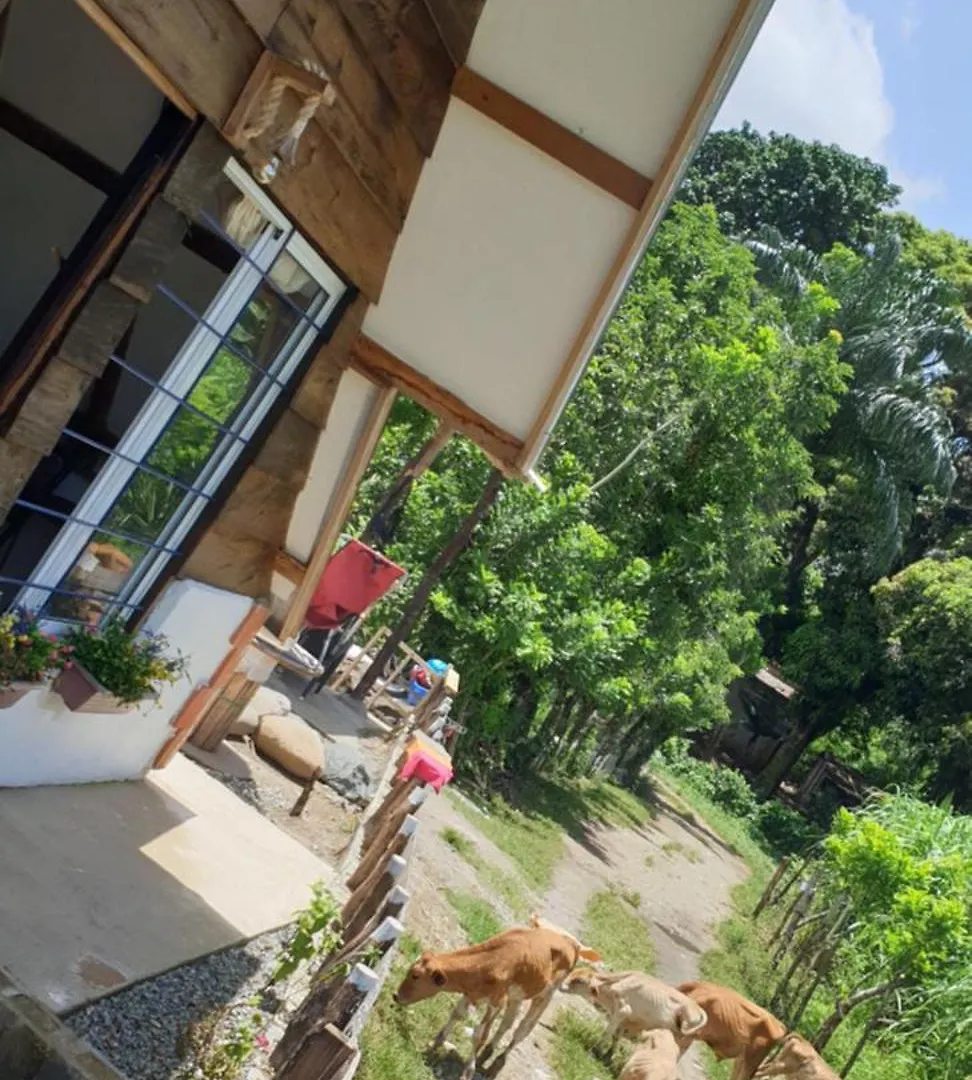 Canada House Queen Bed In 2Nd Floor Dbl Sofa Bed In 1St Floor Bbq Private Pool, River Jarabacoa Holiday home