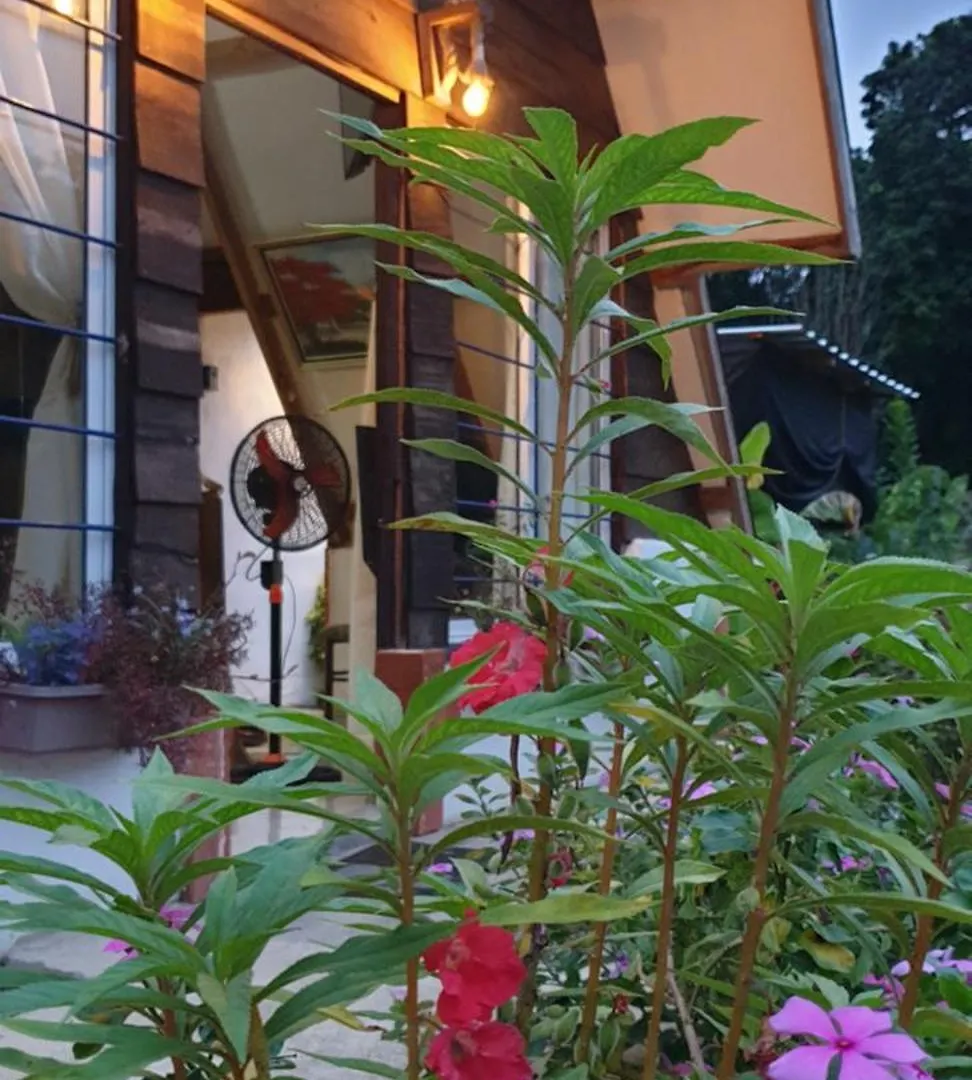 Canada House Queen Bed In 2Nd Floor Dbl Sofa Bed In 1St Floor Bbq Private Pool, River Jarabacoa Dominican Republic